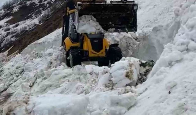 Bingöl’de karla kapalı köy yolu ulaşıma açıldı