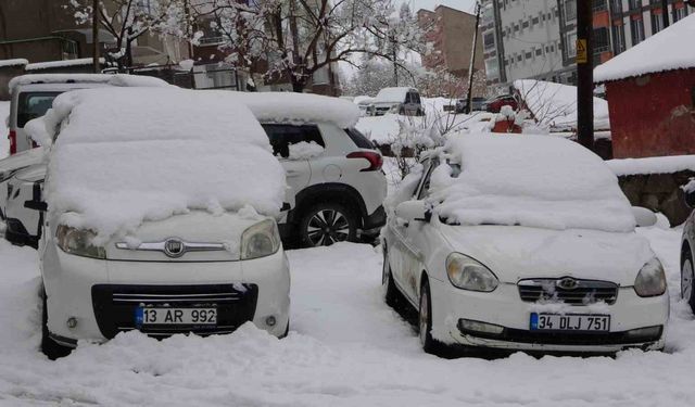 Bitlis’te kar yağışı: 80 köy yolu ulaşıma kapandı