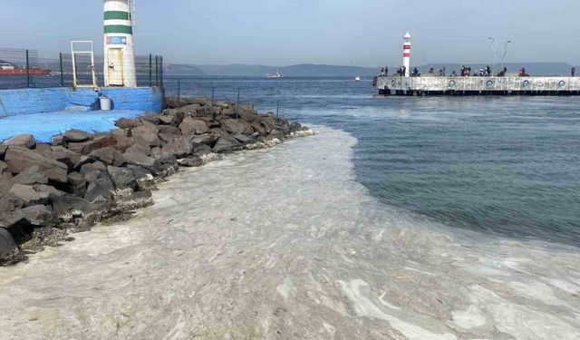 Çanakkale Boğazı’nda müsilaj etkisini gösteriyor