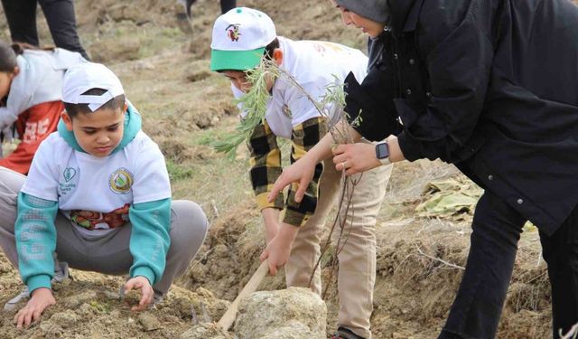 Çorum’da yüzlerce ıhlamur ve lavanta fidanı toprakla buluşturuldu