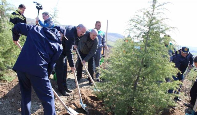 Dünya Ormancılık Günü’nde Çanakkale’de 4 bin fidan toprakla buluştu
