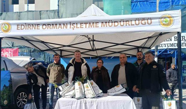 Edirne’de çam fidanı dağıtıldı
