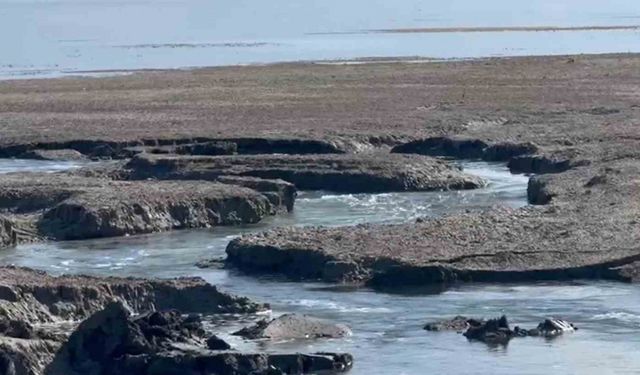 Eğirdir Gölü’nde yeni düdenler su tehlikesini büyütüyor