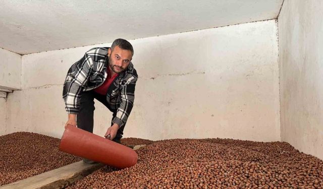 Fındık fiyatları rekor seviyeye ulaştı