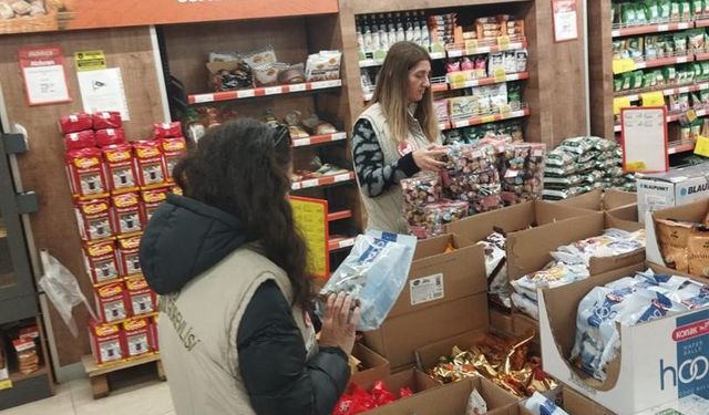 Iğdır’da gıda güvenliği kontrolleri sürüyor