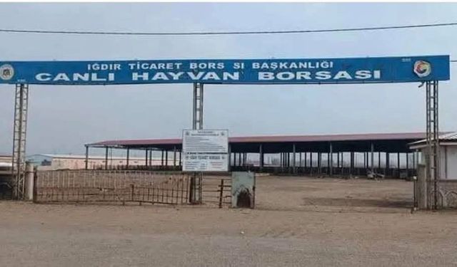 Iğdır’da hayvan pazarı açılıyor