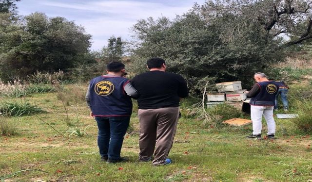 Isparta’da arı kovanı hırsızları JASAT’tan kaçamadı