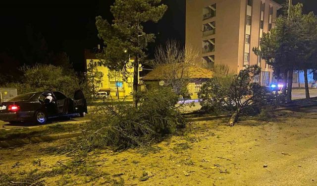 Isparta’da otomobil refüje çarparak 3 ağacı devirdi: 1 yaralı