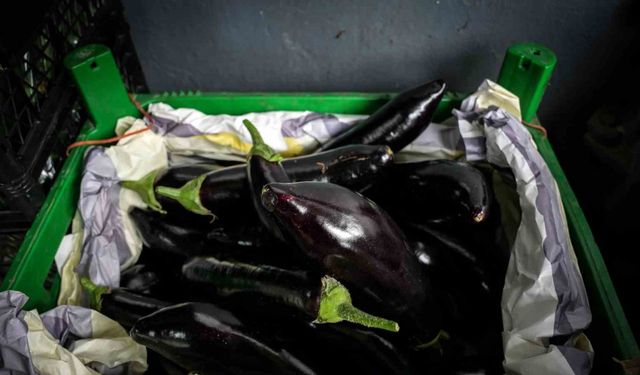 İstanbul’da patlıcan fiyatlarında dalgalanma: Yüzde 100’e yakın yükselen fiyatlar düşüşe geçti