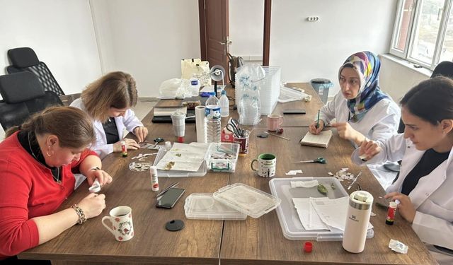 Kahverengi kokarca ile mücadelede samuray arısı üretimi sürüyor