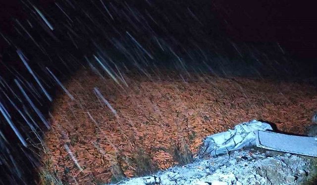 Kar yağışı nedeniyle kayganlaşan yolda kontrolden çıkan kamyon devrildi: 1 yaralı