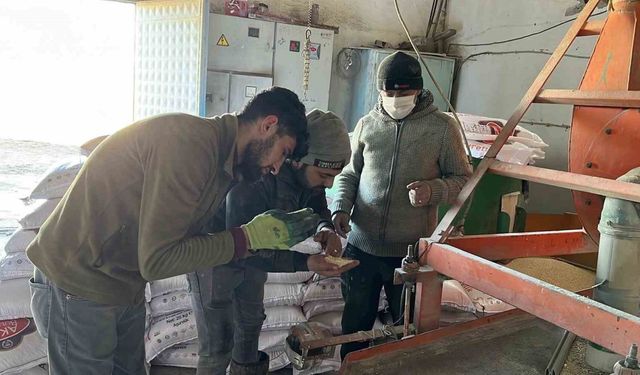 Kars’ta değirmenlerde mesai başladı