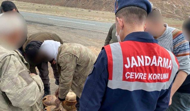 Kars’ta jandarma kaçak avcılara göz açtırmıyor