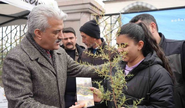Kırıkkale’de vatandaşlara ücretsiz fidan dağıtıldı