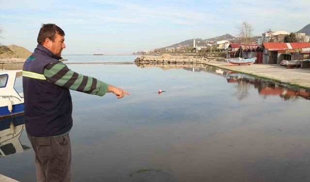Liman girişi kumla doldu, balıkçılar mahsur kaldı