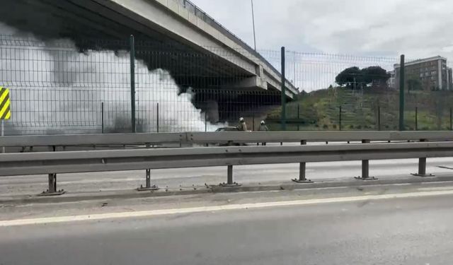 Lüks otomobil alevlere teslim oldu, D-100 karayolu trafiğe kapandı