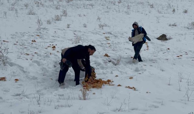 Muradiyeli gönüllüler yaban hayvanlarını unutmadı