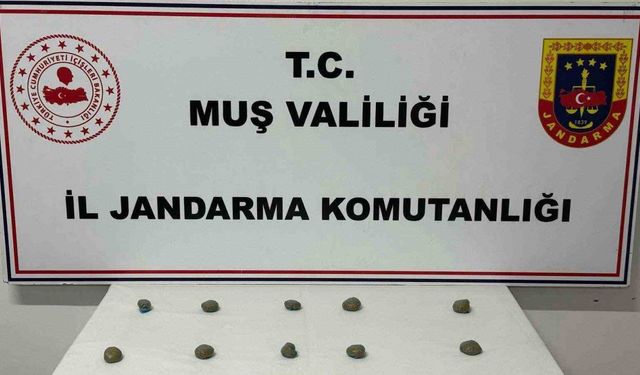Muş’ta 206 şahıs yakalandı