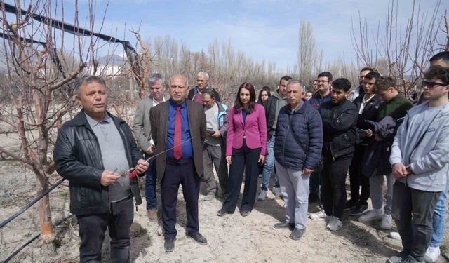 Niğde’de çiftçilere meyve ağaçlarında aşılama eğitimi