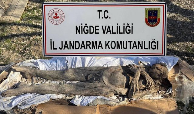 Niğde’de mumya operasyonu: 6 gözaltı