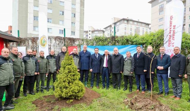 Ordu’da fidanlar toprakla buluşturuldu