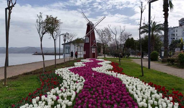 Ordu’da lale devri