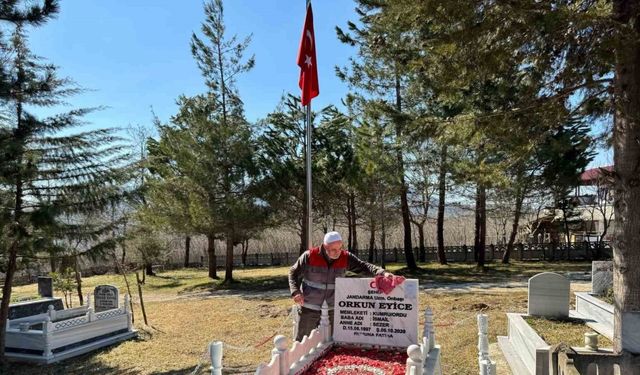 Ordu’da şehit mezarlarında bakım çalışmaları yapıldı
