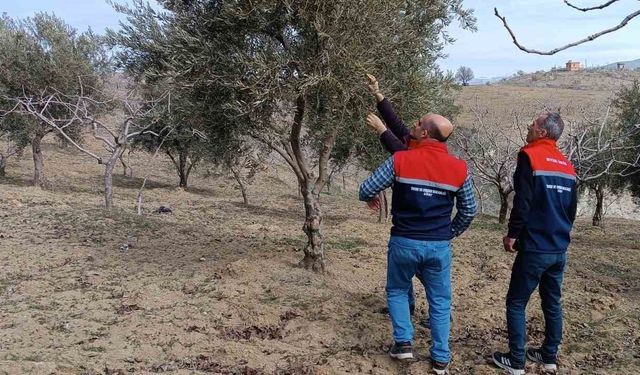 Siirt’te soğuk hava ve don kontrolleri yapıldı