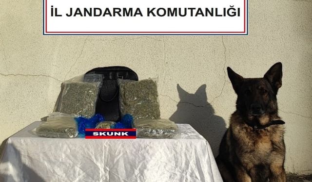 Uyuşturucu tacirleri otobüste yakalandı