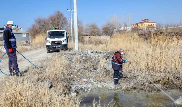 Van Büyükşehir Belediyesi vektörle mücadele startını verdi