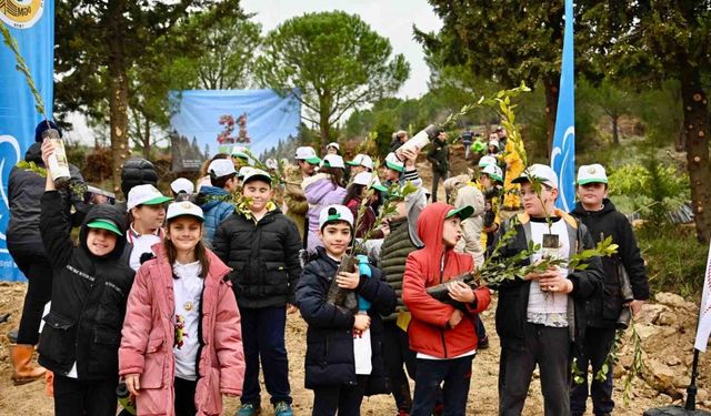 Yalova’da yanan 25 dönümlük orman alanı ağaçlandırıldı