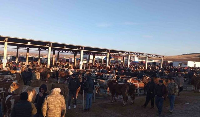 Yozgat’ta geçici olarak kapatılan hayvan pazarları yeniden açıldı
