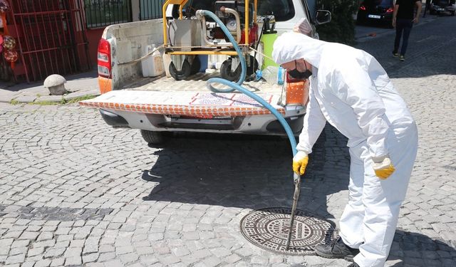 Zeytinburnu Belediyesi’nden sivrisinek sorununa erken müdahale