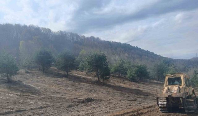 Zonguldak’ta sokak hayvanları için çalışmalar hız kazandı