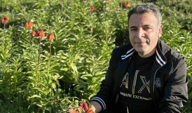 20 günlük ömrü olan ters lalelere zarar verildi