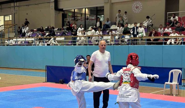 23 Nisan Taekwondo Müsabakaları tamamlandı