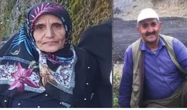60 yaşındaki kadın kayboldu, arama çalışmaları sürüyor