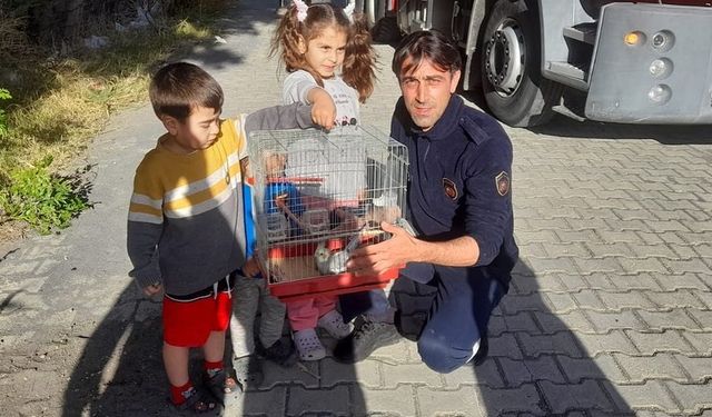 Ağaçta mahsur kalan papağanı itfaiye kurtardı