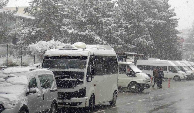 Ahlat’ta nisan karı etkili oldu