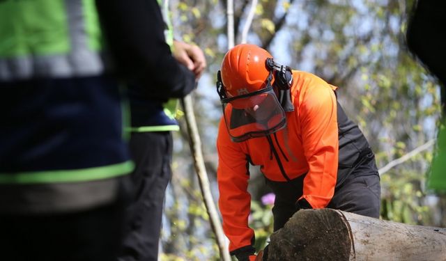 Akçakoca’da ormanda eğitim tatbikatı yapıldı