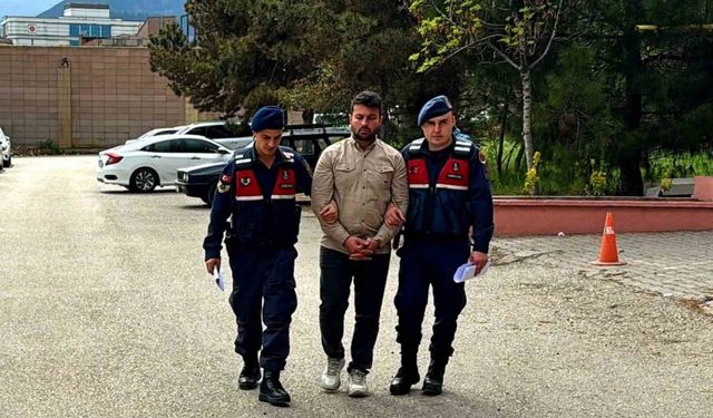 Aynı aileden 4 kişinin öldüğü kazada tır sürücüsü tutuklandı