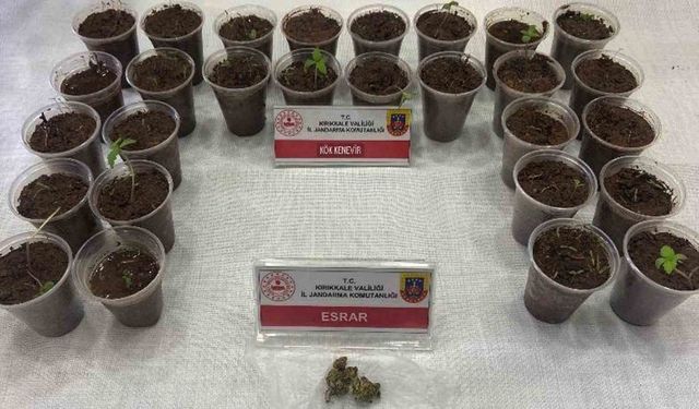 Bagajdan bardak bardak kenevir çıktı: Uyuşturucuyla yakalanan şüpheli tutuklandı