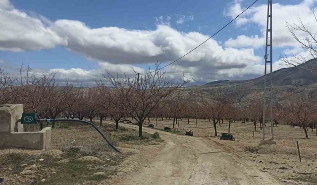 Bahçelerde ateş yakıldı, meyve üreticileri zirai don tehlikesine önlem aldı