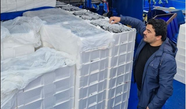 Balık sezonunda İnebolu’dan 2 milyon 965 bin ton balık karaya çıkartıldı