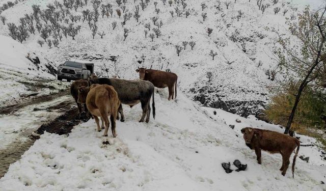 Batman’da nisan ayında kar çilesi: 60 yerleşim yerinin yolu ulaşıma kapandı