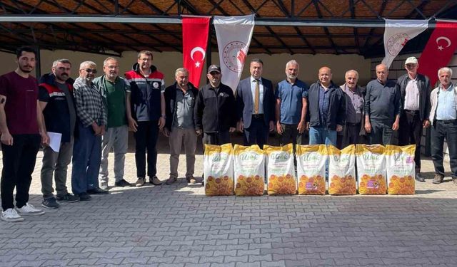 Beyşehir’de ayçiçeği ekimi ile tarlalar sarıya boyanacak