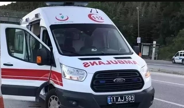 Bilecik’te seyir halinde devrilen motosiklet sürücüsü yaralandı