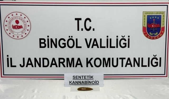 Bingöl’de bonzai ele geçirildi: 4 gözaltı