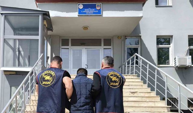 Bingöl’de kesinleşmiş hapis cezası bulunan zanlı yakalandı