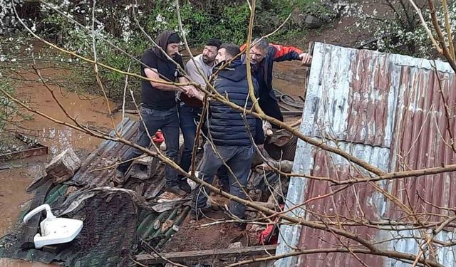 Bingöl’de sağanak felakete yol açtı: Su basan ahırda çok sayıda hayvan telef oldu